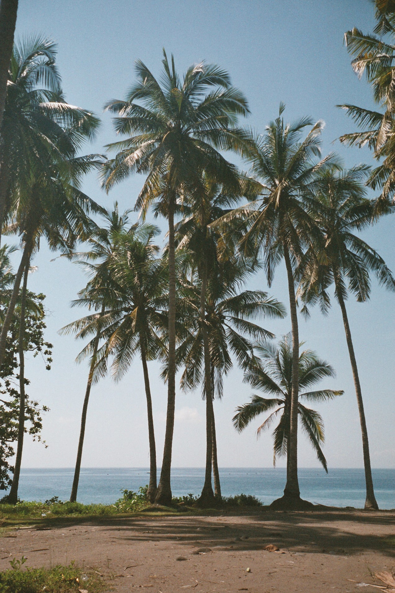 Bali is OPEN