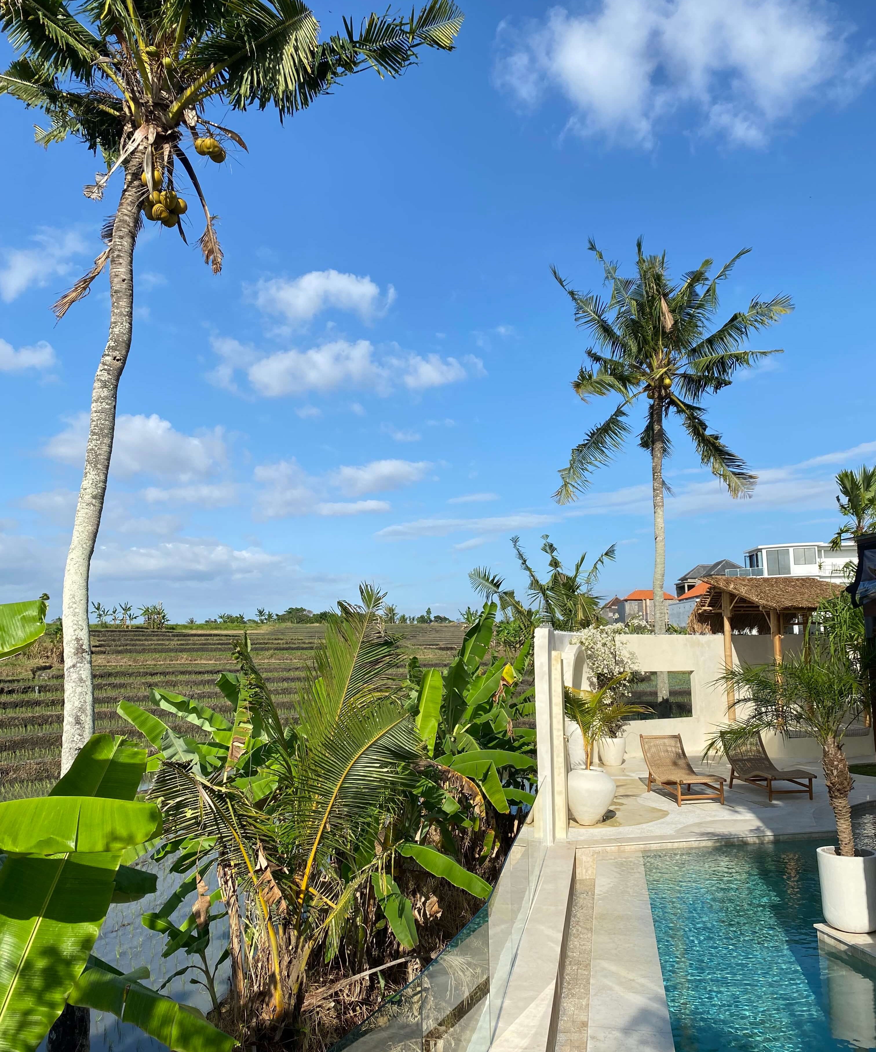The dreamist Bali villa: Rumah Simba