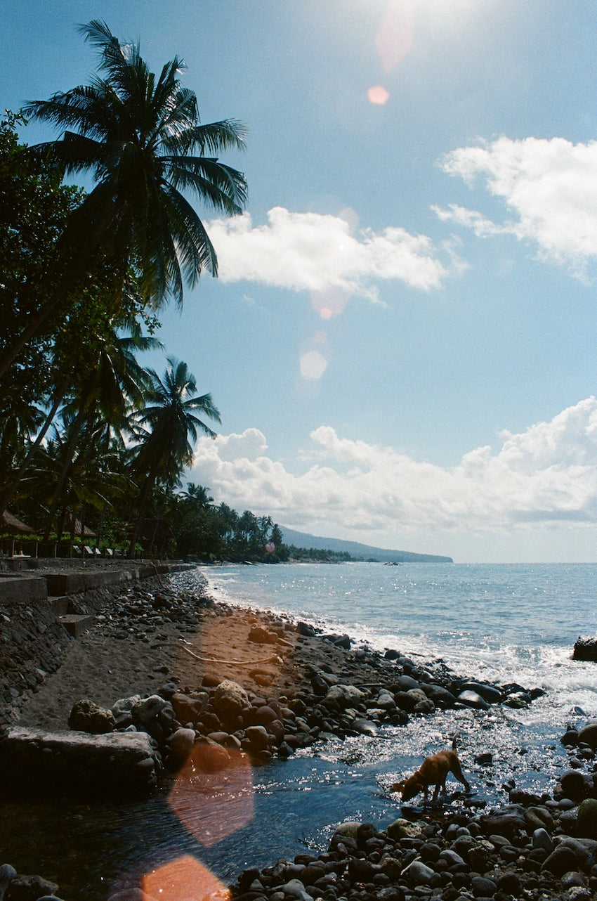 Bali Covid Travel Update August 2021: Bali lockdown continues