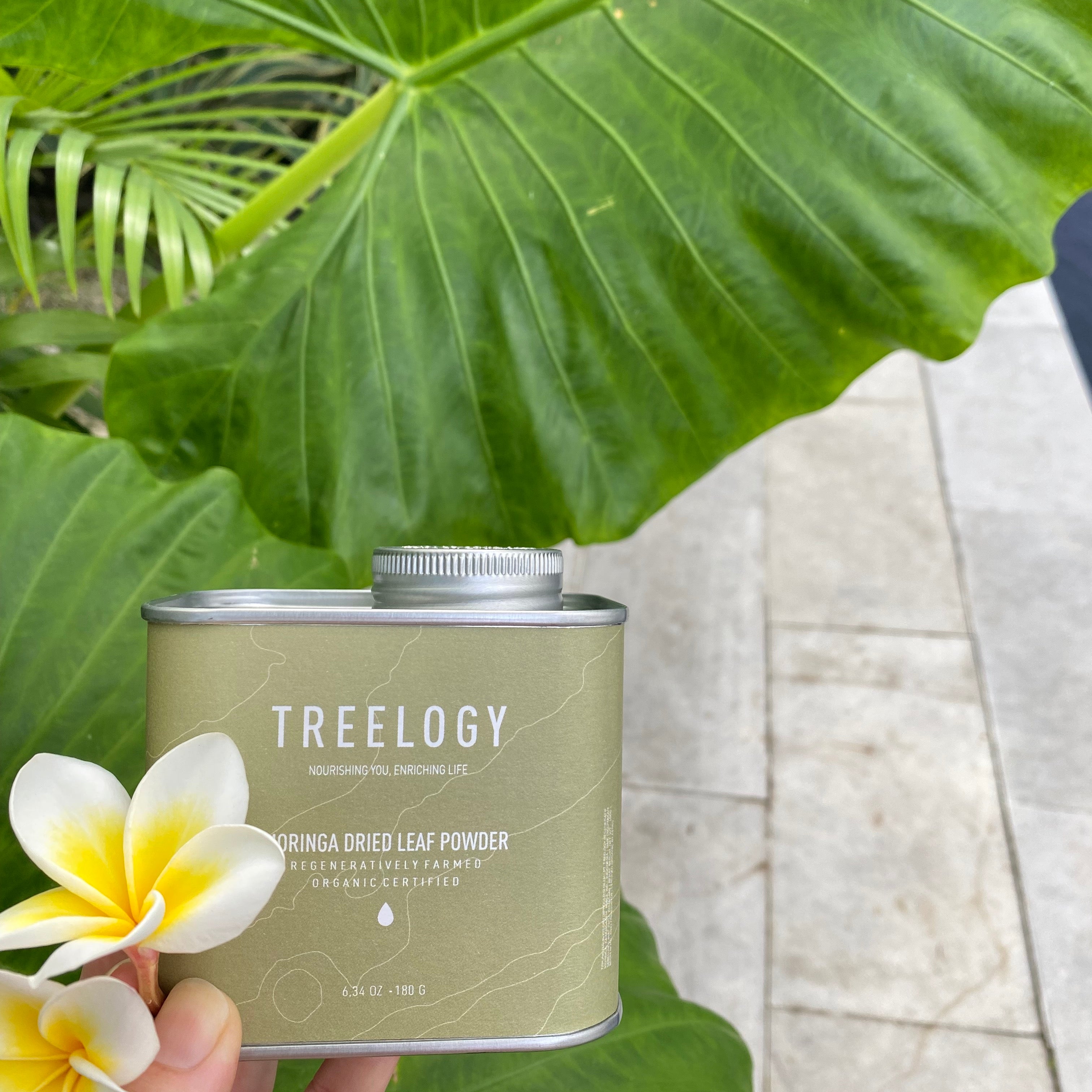 Our new favorite morning routine with Treelogy — Moringa from the heart of Bali!