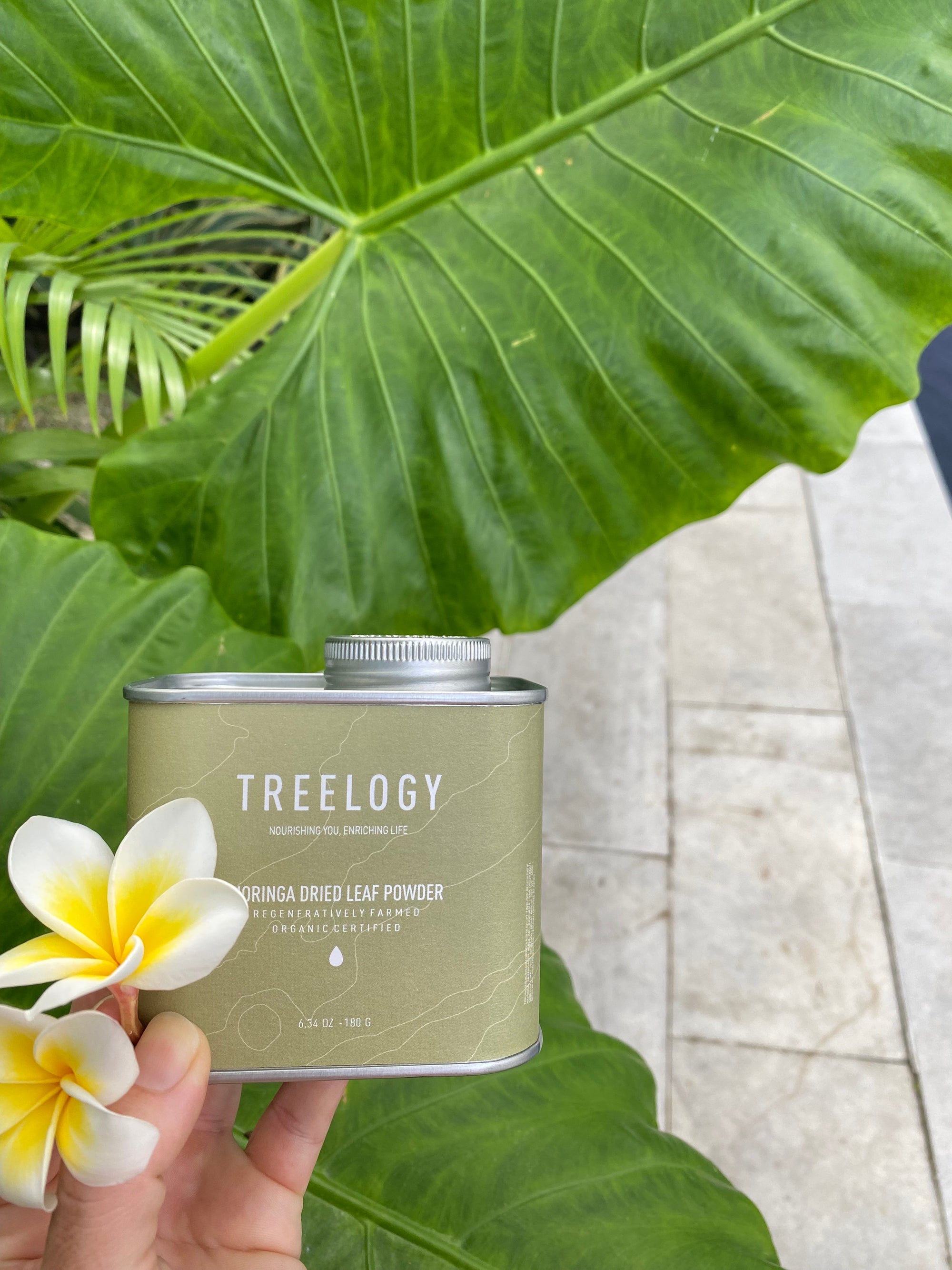 Our new favorite morning routine with Treelogy — Moringa from the heart of Bali!