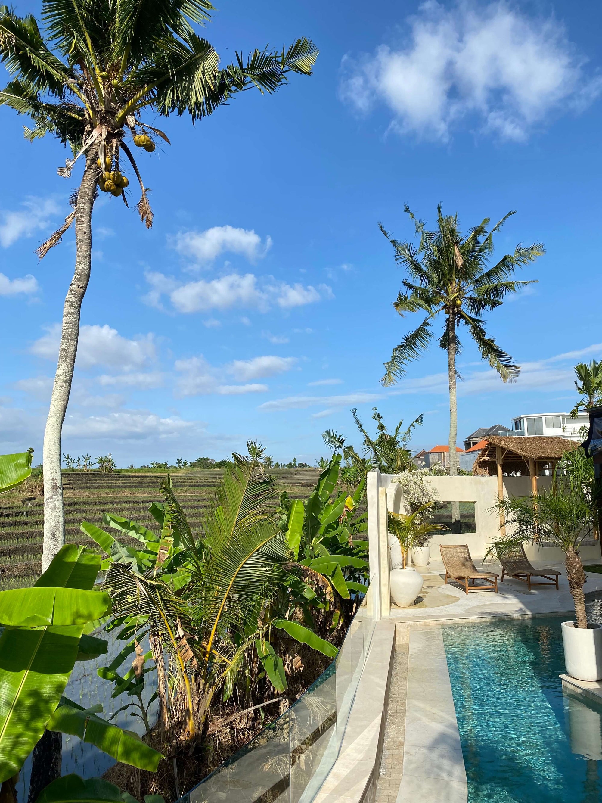 The dreamist Bali villa: Rumah Simba
