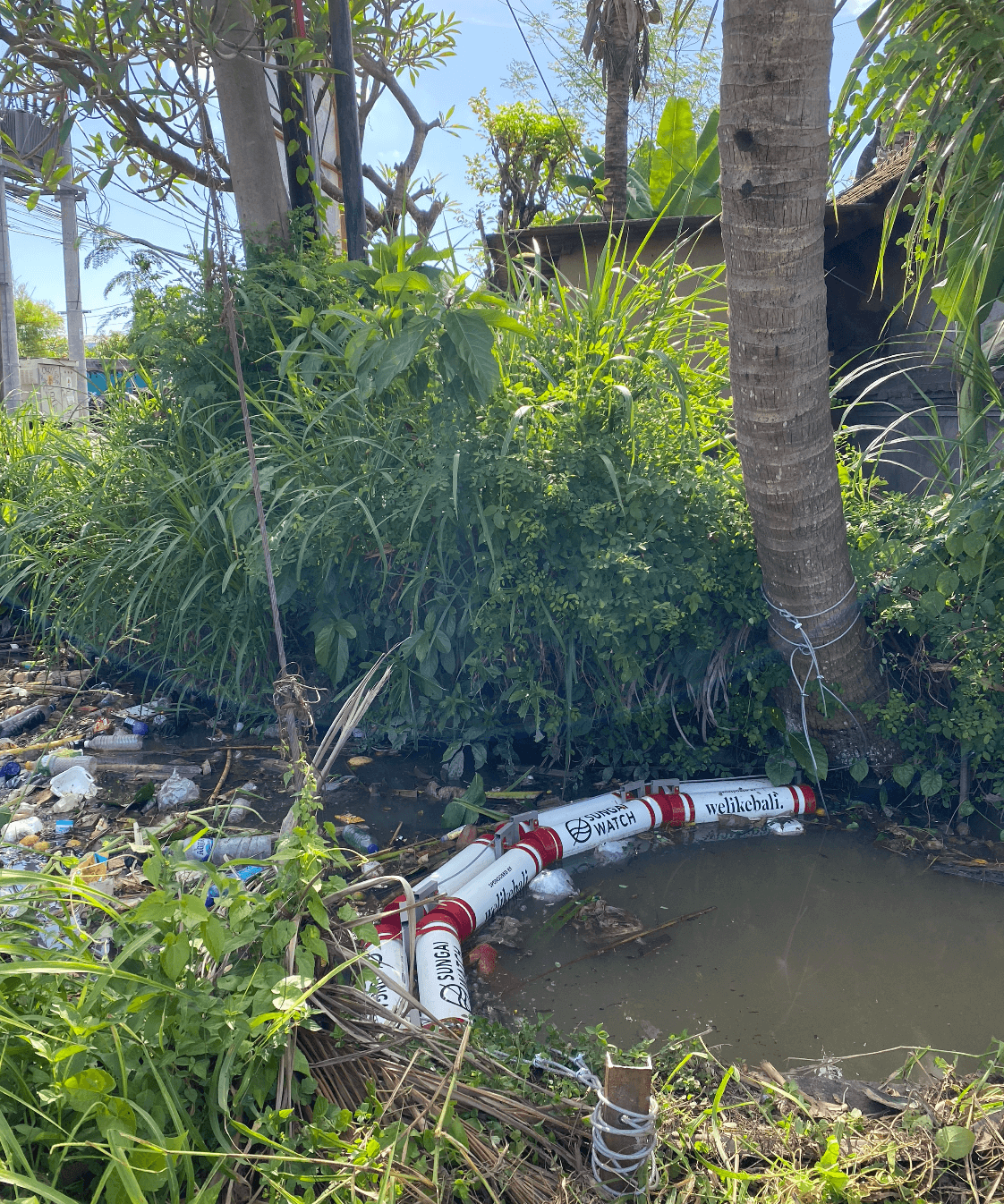 Sungai Watch: fighting plastic pollution in Bali