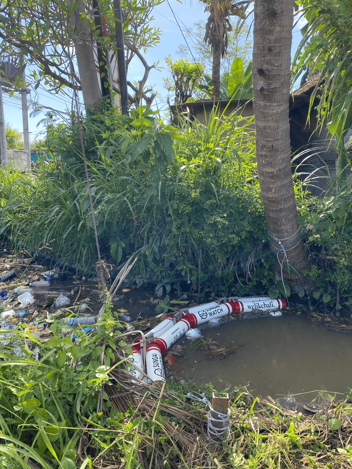 Sungai Watch: fighting plastic pollution in Bali